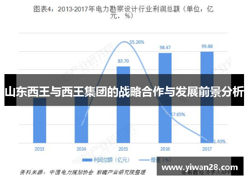 山东西王与西王集团的战略合作与发展前景分析
