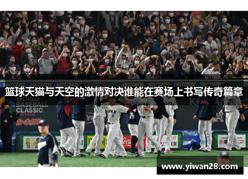 篮球天猫与天空的激情对决谁能在赛场上书写传奇篇章